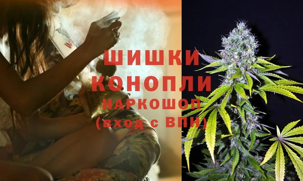 молекула духа Фурманов