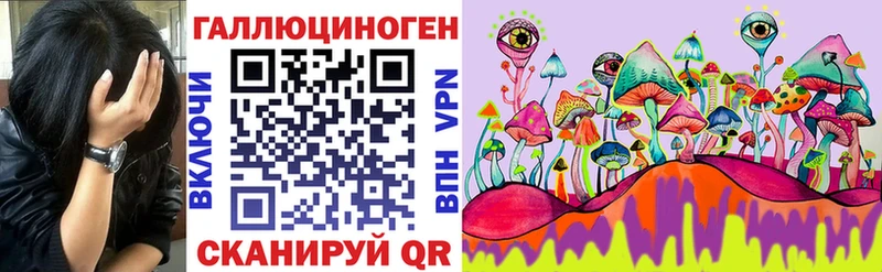 дарнет шоп  Мичуринск  Галлюциногенные грибы MAGIC MUSHROOMS 